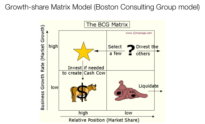 Growth-Share Matrix Model