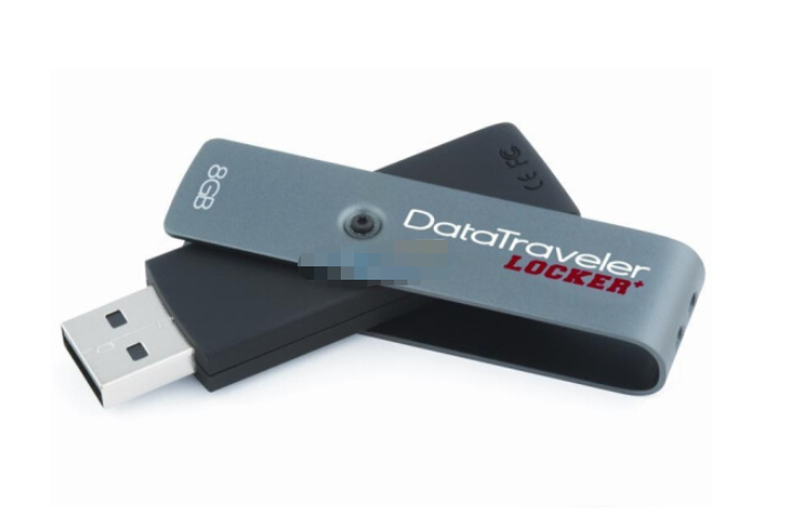 金士頓DTL+/8GB 金士頓DTL+/8GB