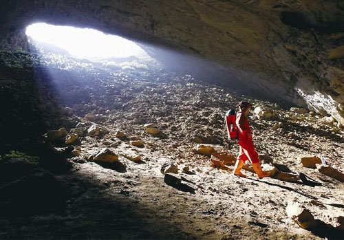 洞穴(較大的或範圍不定的地下洞)