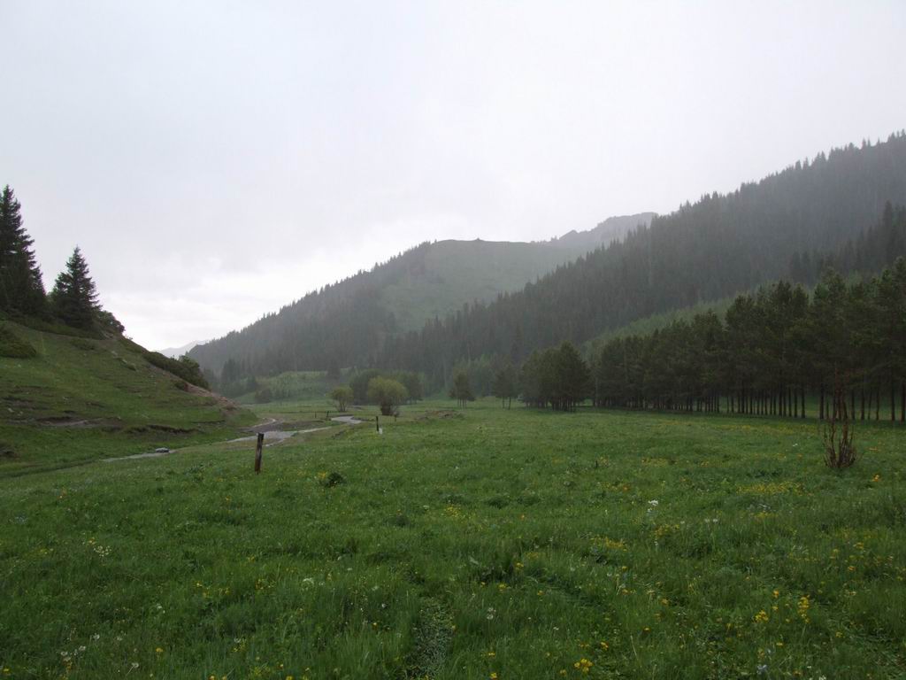 新疆巴爾魯克山國家級自然保護區