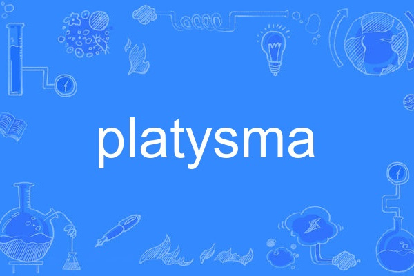 platysma platysma