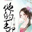 他的王妃 他的王妃