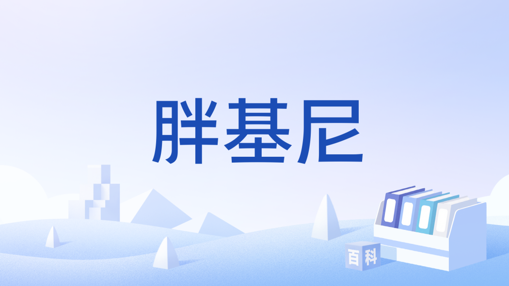 胖基尼 胖基尼