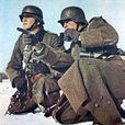 帝國軍(帝國主義國家的軍事力量) 帝國軍(帝國主義國家的軍事力量)
