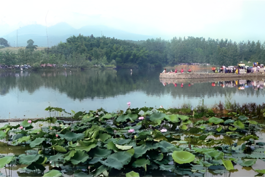 南坦湖 南坦湖