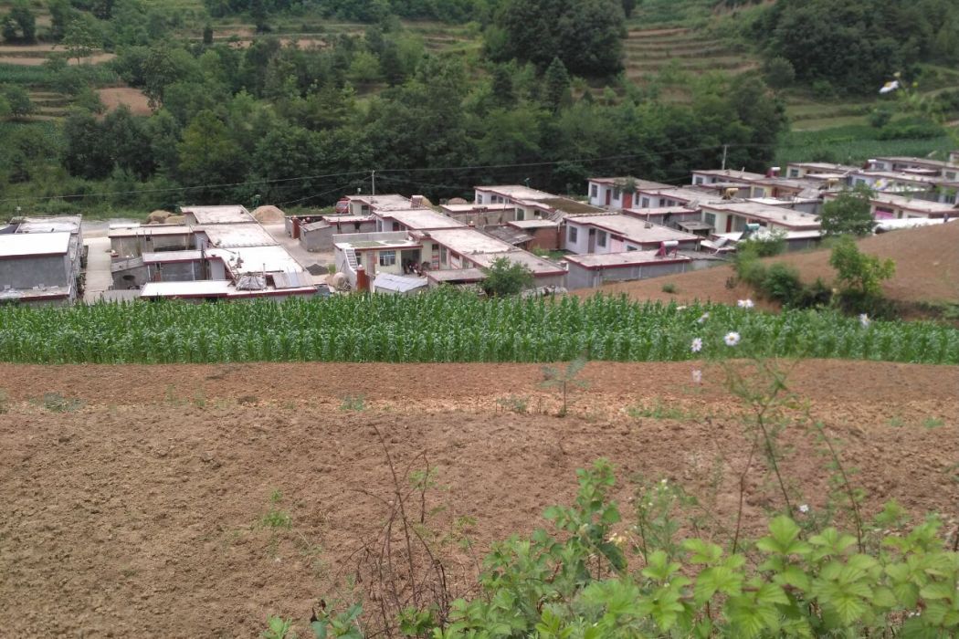 劉壩村(甘肅省隴南市徽縣江洛鎮下轄村) 劉壩村(甘肅省隴南市徽縣江洛鎮下轄村)