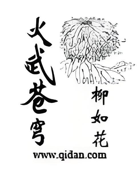 火武蒼穹 火武蒼穹