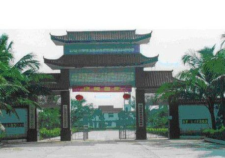 澄邁林場 澄邁林場