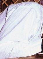 Alfred Vargas
