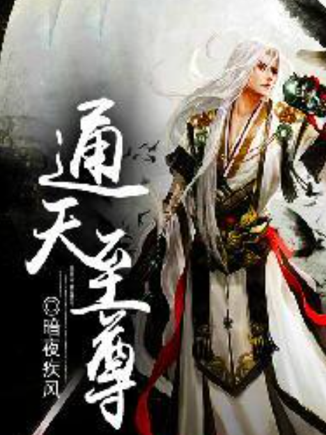 通天至尊(暗夜疾風所著小說) 通天至尊(暗夜疾風所著小說)