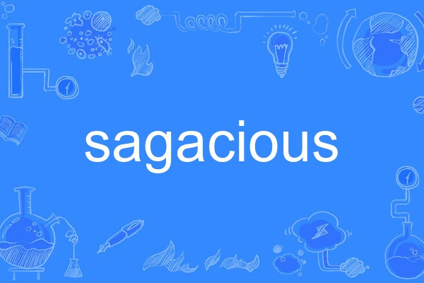sagacious sagacious