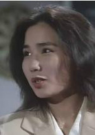 中華英雄(1990年何家勁主演電視劇)
