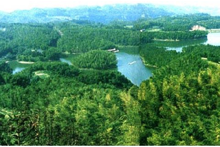 大堰沖水庫(淮河流域寨河支流上的小(2)型水庫) 大堰沖水庫(淮河流域寨河支流上的小(2)型水庫)
