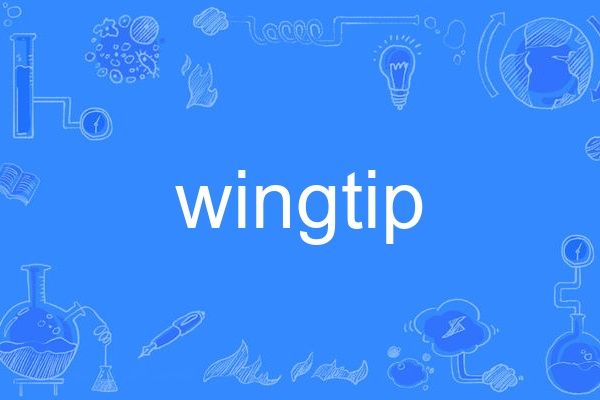 wingtip wingtip