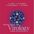 Principles of Virology(Flint,S.J.Enquist,L.W.Racaniello,V.R.Skalka,A.M著圖書) Principles of Virology(Flint,S.J.Enquist,L.W.Racaniello,V.R.Skalka,A.M著圖書)