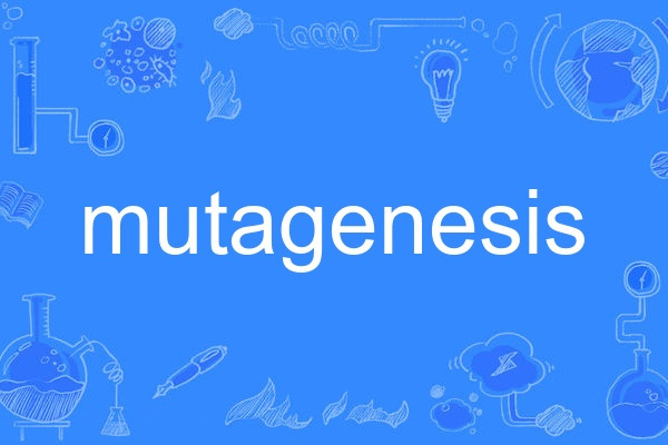 mutagenesis mutagenesis