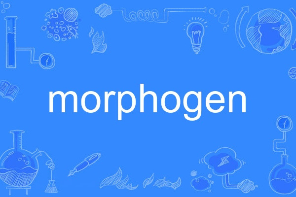 morphogen morphogen