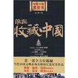 中國文物黑皮書