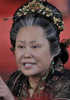 穆桂英掛帥(2011年宮曉東導演電視劇)