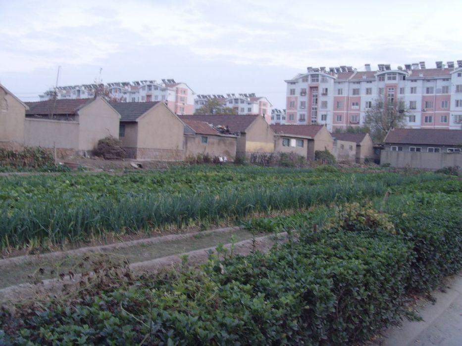 王家女姑村 王家女姑村