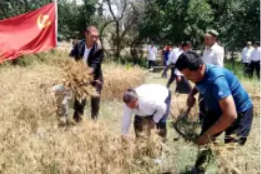 墩巴格村(新疆阿克陶縣巴仁鄉轄行政村) 墩巴格村(新疆阿克陶縣巴仁鄉轄行政村)