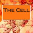 The Cell(Jones, MR Joshua L. a.; Frankel, MR Mark C.;著圖書)