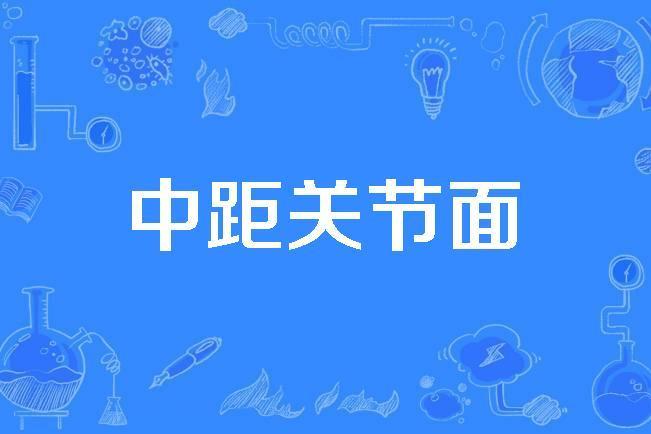 中距關節面 中距關節面