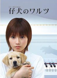 松下奈緒 松下奈緒