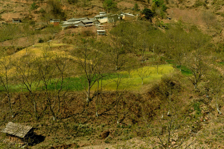 岩北村 岩北村