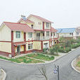 東嶽村(四川達州市宣漢縣柏樹鎮下轄村) 東嶽村(四川達州市宣漢縣柏樹鎮下轄村)