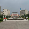 上海市清流中學