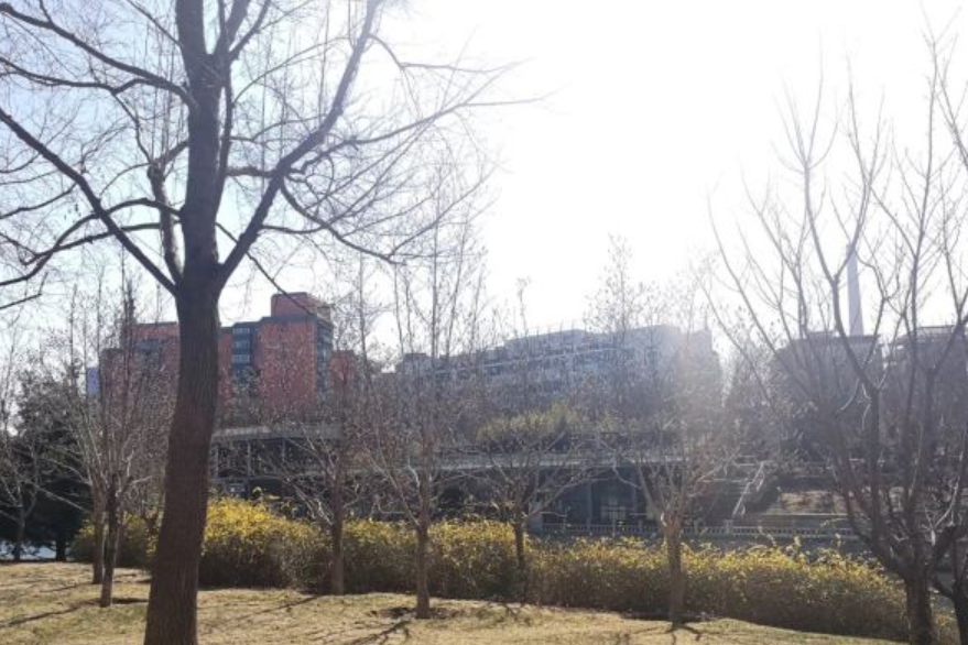 白雲公園(北京市西城區綜合性公園) 白雲公園(北京市西城區綜合性公園)