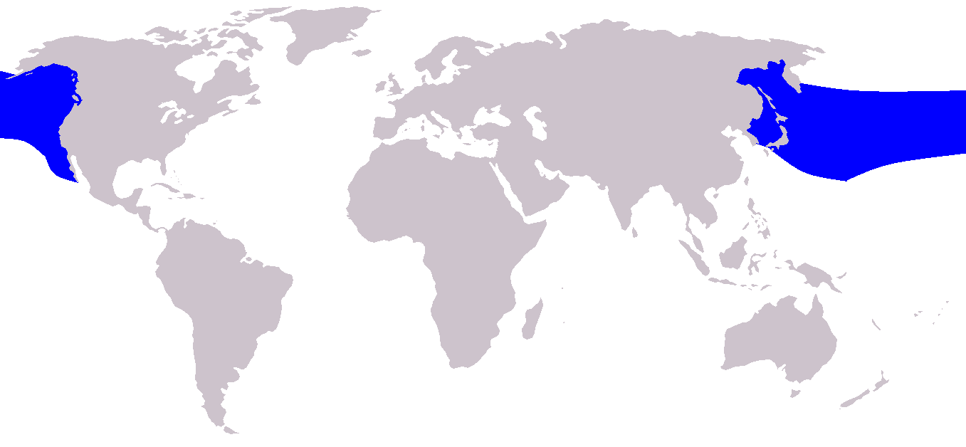貝氏喙鯨地理分布