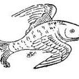 飛魚(《山海經》中的文鰩魚) 飛魚(《山海經》中的文鰩魚)