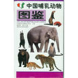 中國哺乳動物圖鑑