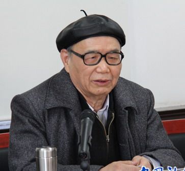 段若非 段若非