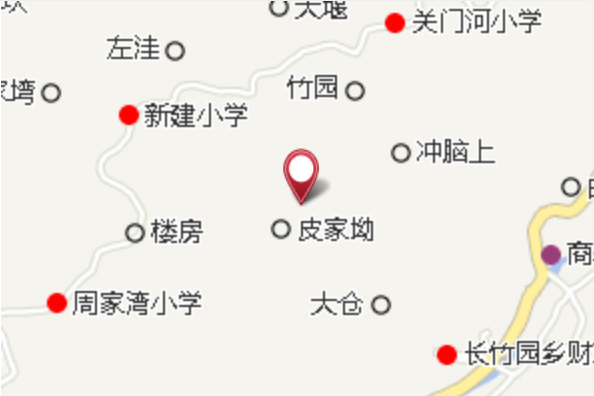 杉樹褚 杉樹褚