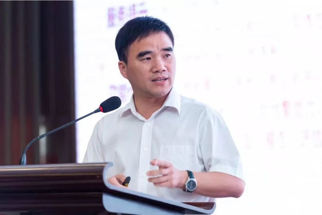 陳小林(朗迪集團獨立董事) 陳小林(朗迪集團獨立董事)