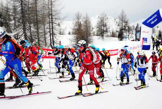 2006年冬季奧林匹克運動會自由式滑雪比賽