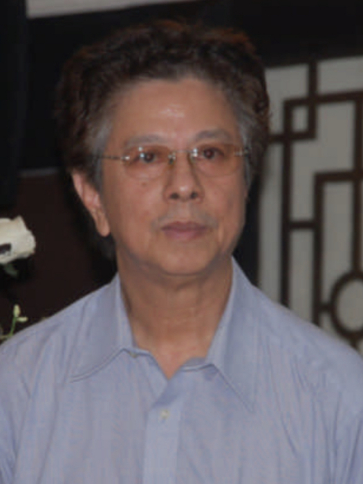 陳富榮(印尼政治人物) 陳富榮(印尼政治人物)