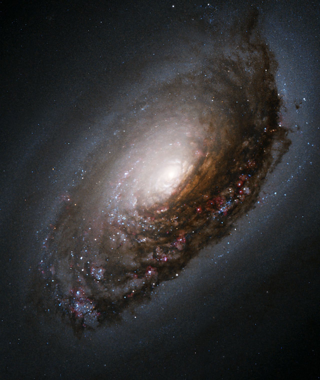 M64”黑眼星雲“