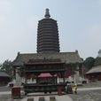 天寧寺塔(北京西城區寺塔) 天寧寺塔(北京西城區寺塔)