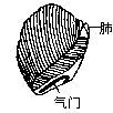 書肺 書肺