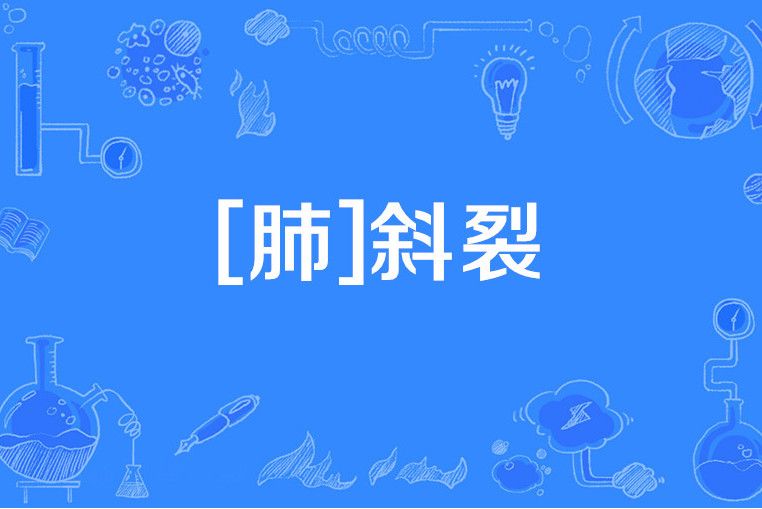 [肺]斜裂