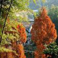 李山前村 李山前村