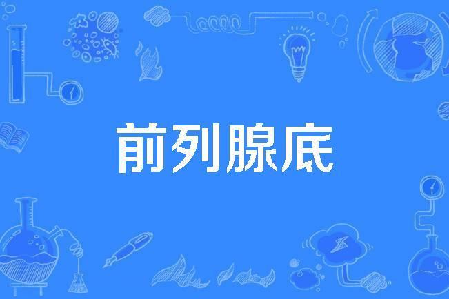 前列腺底 前列腺底