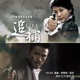 追捕(2011年海清主演內地電視劇) 追捕(2011年海清主演內地電視劇)