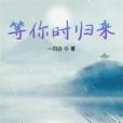 等你時歸來 等你時歸來