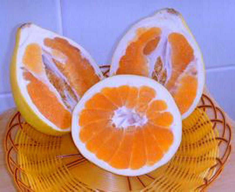 橙心柚 橙心柚