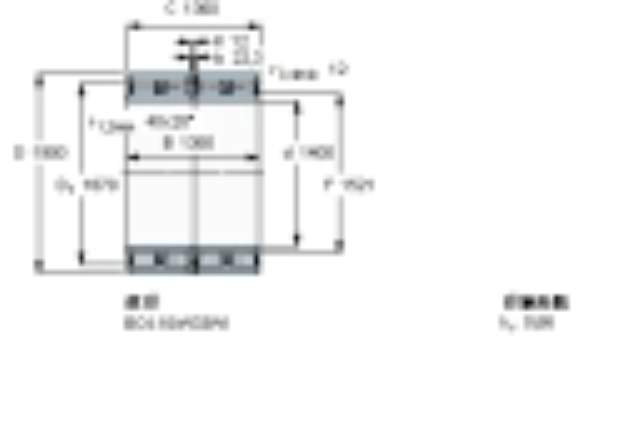 SKF BC4-8005/HA4軸承 SKF BC4-8005/HA4軸承